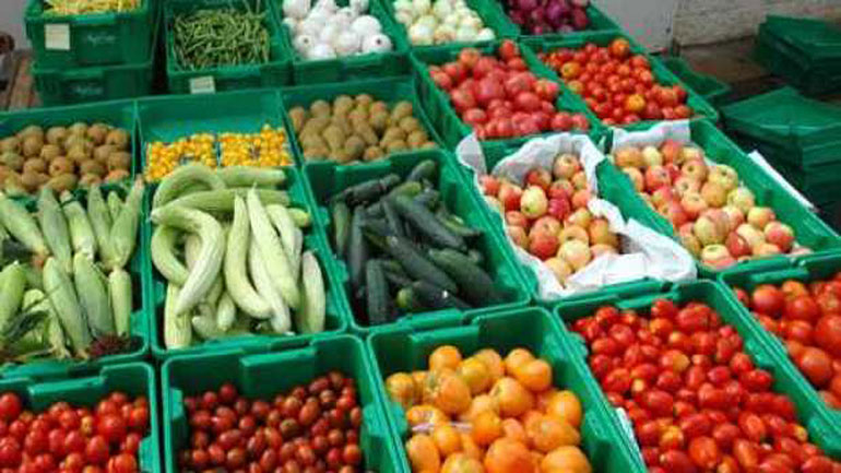 21η δράση του χωριού παραγωγών στο Άλσος Φιλαδέλφειας