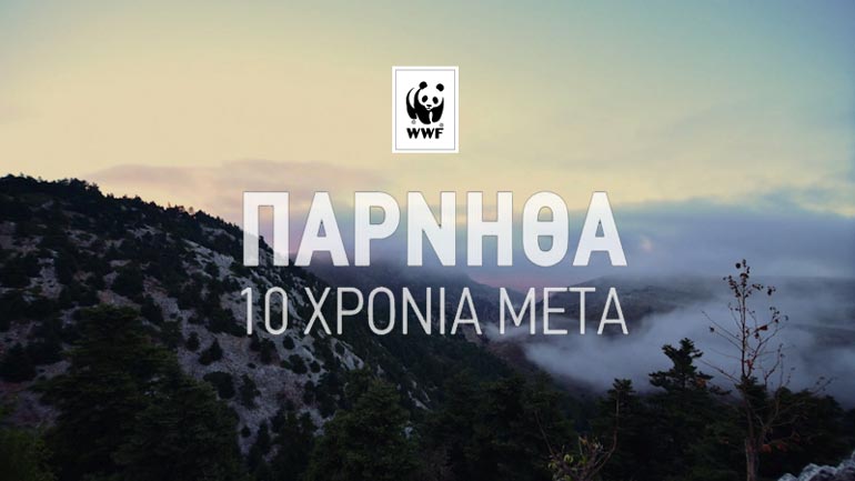 Πάρνηθα 2007-2017: Οδοιπορικό του WWF για τα 10 χρόνια από τη μεγάλη πυρκαγιά