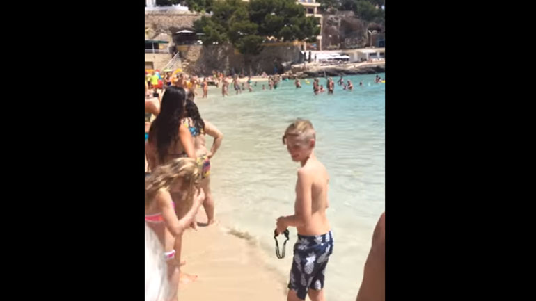 Χαμός σε παραλία της Μαγιόρκα: Καρχαρίας βγήκε στην στεριά