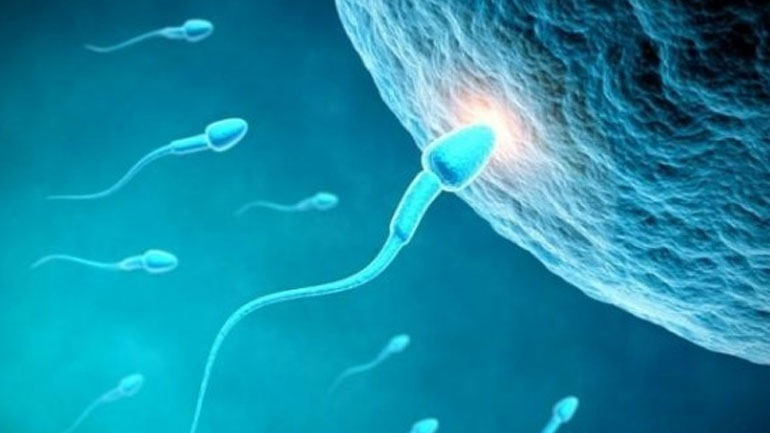 Η μαγνητική απεικόνιση του ουρογεννητικού και η ανδρική γονιμότητα