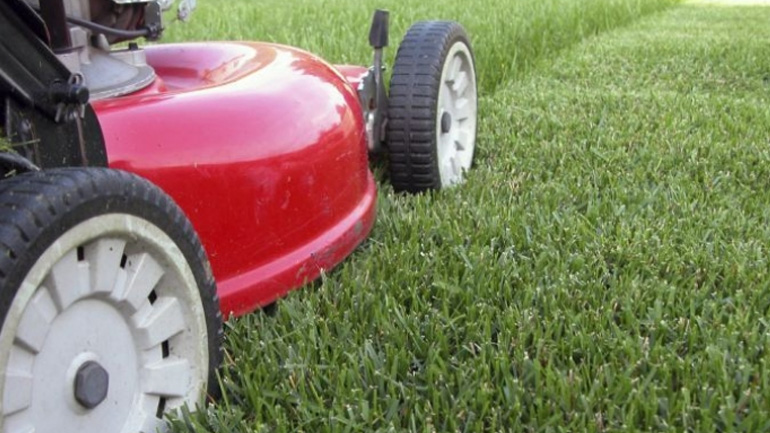 Αρχαία Νεμέα: 39χρονος πέθανε από ηλεκτροπληξία την ώρα που κούρευε το γκαζόν