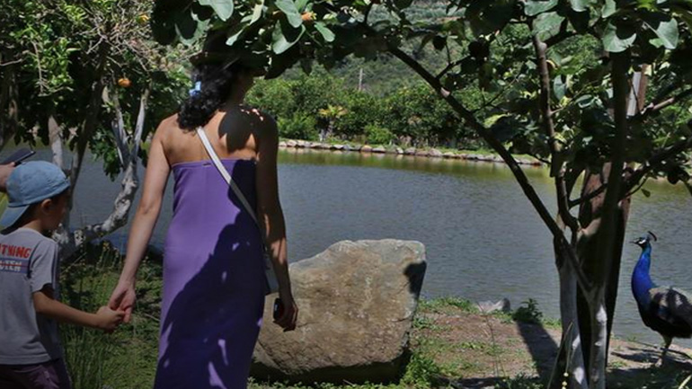 Βοτανικό πάρκο και Κήποι έξω απ’ τα Χανιά – Ένα μοναδικό πάρκο στην Ευρώπη