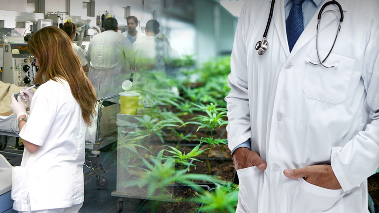 Νόμιμη η χρήση φαρμακευτικής κάνναβης