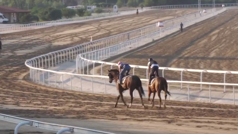 71ο Ελληνικό Ντέρμπι ΟΠΑΠ: Ποια είναι τα καθαρόαιμα που διεκδικούν τον τίτλο του καλύτερου ίππου της χρονιάς