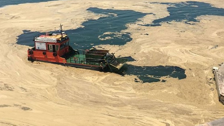 Συνεχίζεται η προσπάθεια για τη μείωση του φυτοπλαγκτόν στον Θερμαϊκό