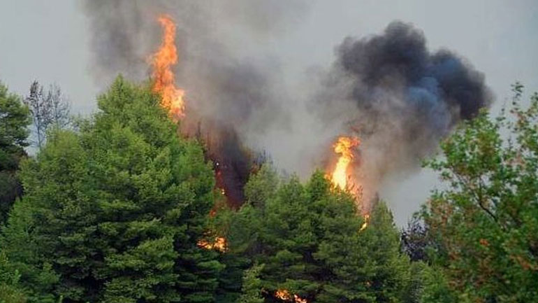 Μυτιλήνη: Έσβησε η μεγάλη πυρκαγιά στον Καρά Τεπέ