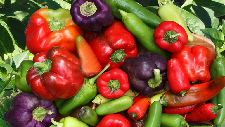 Δέσμευση φορτίου με πιπεριές στον Πειραιά