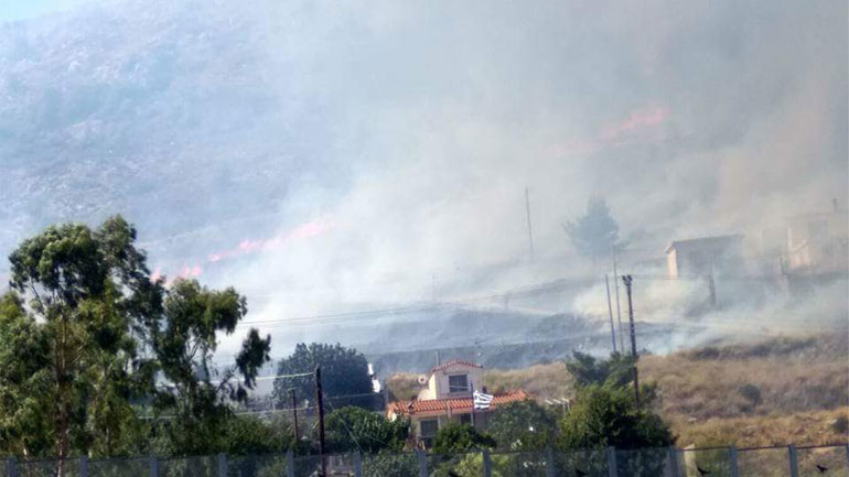 Πυρκαγιά στην περιοχή Πανόραμα Μεγάρων
