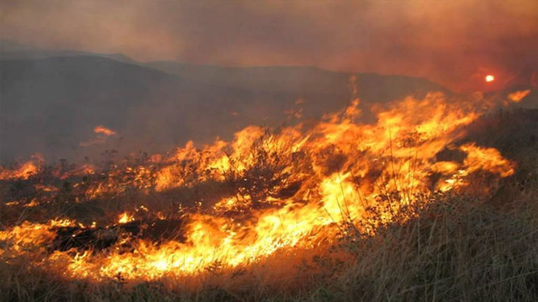 Θεσσαλονίκη: Σε πλήρη ετοιμότητα όλες οι δυνάμεις για την αντιμετώπιση πυρκαγιών