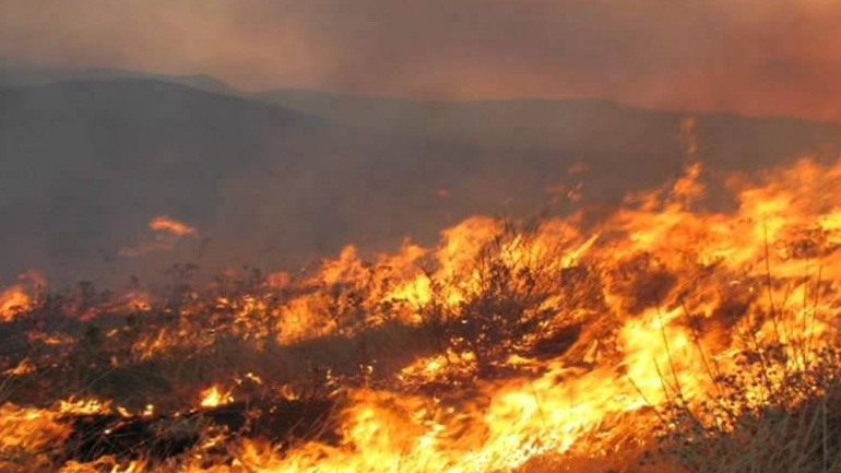 Μεγάλη η συμμετοχή της Πολεμικής Αεροπορίας στην κατάσβεση πυρκαγιών