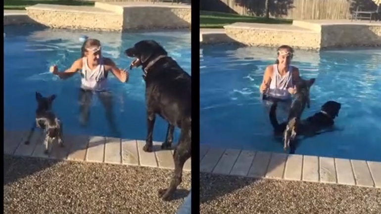 Γι’ αυτό είναι οι φίλοι!