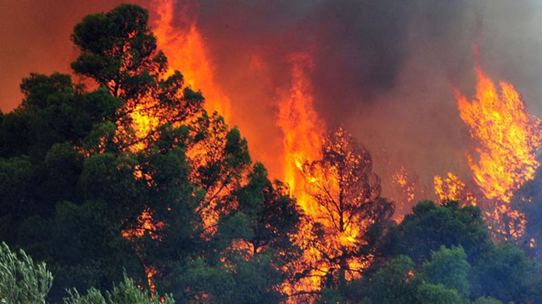 Φωτιά στο Μικροχώρι Ωρωπού – Απειλούνται σπίτια