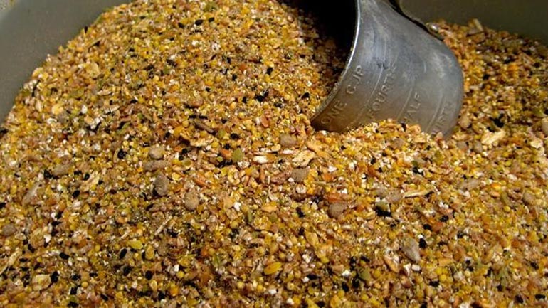 Πειραιάς: Μπλόκο σε φορτίο 19 τόνων φυτικού λίπους φοίνικα