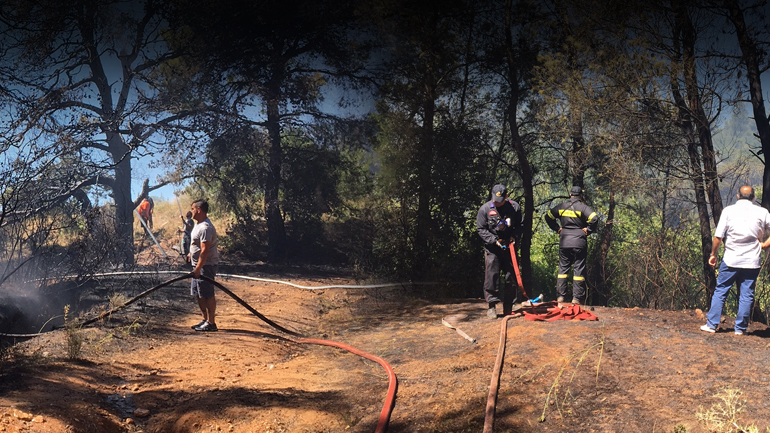 Μάχη με τη φωτιά στο Κρυονέρι Μάχη με τη φωτιά στο Κρυονέρι