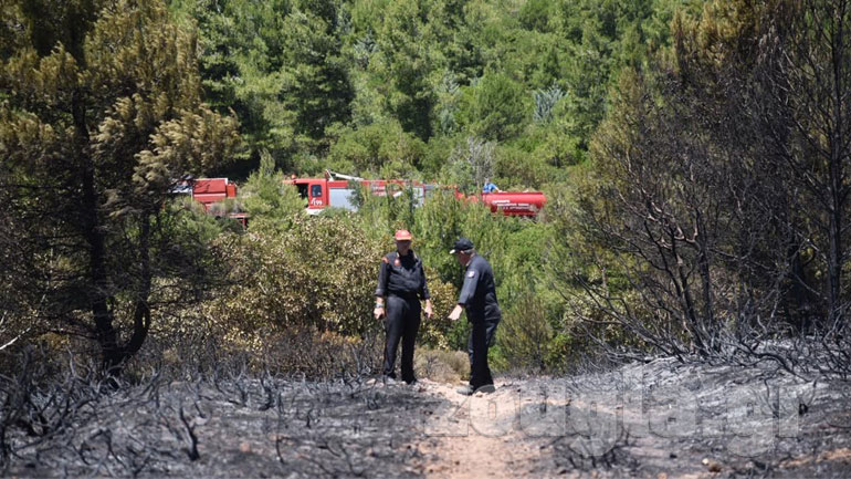 Υπό μερικό έλεγχο η πυρκαγιά στο Κρυονέρι
