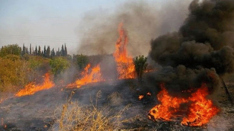 Λάρισα: Υπό έλεγχο τέθηκε μικρής έκτασης πυρκαγιά στον Τύρναβο