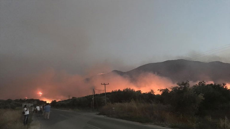 Μάνη: Η ζωή στον Κότρωνα μετά την καταστροφική φωτιά