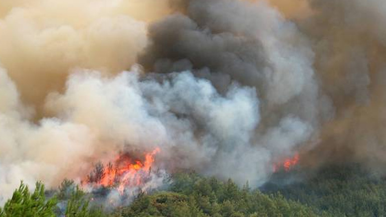 Υπό μερικό έλεγχο τέθηκε η φωτιά στην Ανατολή Ιεράπετρα Κρήτης
