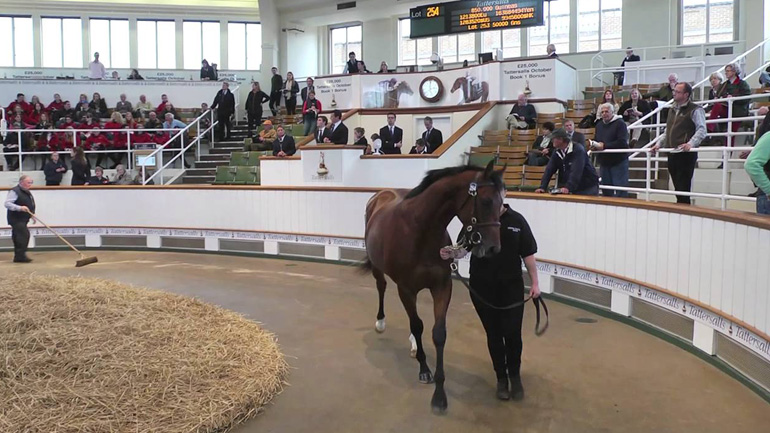 Δυναμική παρουσία Ελλήνων επιχειρηματιών στη δημοπρασία καθαρόαιμων ίππων του Tattersalls