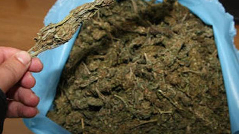 Σύλληψη 64χρονου για κατοχή 10 κιλών χασίς και 109 δενδρυλλίων κάνναβης