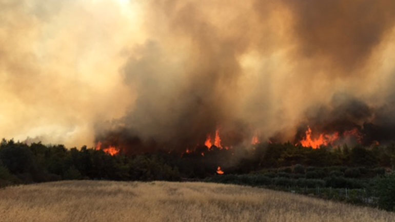 Σε εξέλιξη πυρκαγιά σε δασική έκταση στα Περιβόλια Ηλείας