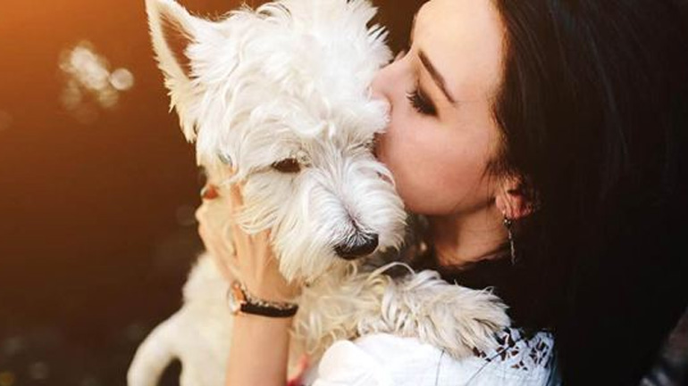 Ποια περιποίηση καθημερινή έχει ανάγκη ο σκύλος μου;