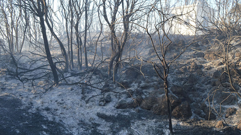 Σε ύφεση τα πύρινα μέτωπα στις Ορθονιές Ζακύνθου – Κάηκαν περισσότερα από 3.000 στρέμματα