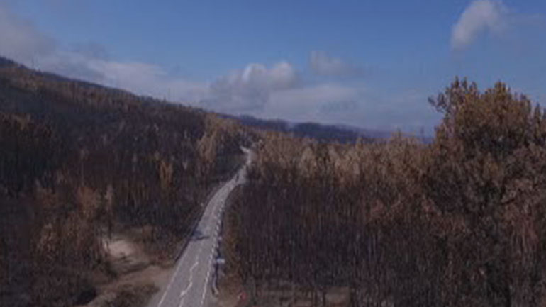 Σε πορτοκαλί συναγερμό λόγω καύσωνα πολλές περιοχές στην Πορτογαλία