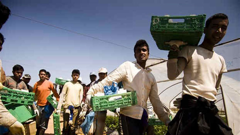 «Πράσινο φως» για τις αποζημιώσεις στους μετανάστες της Μανωλάδας