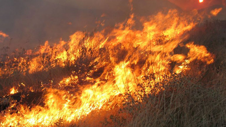 Μαίνονται οι πυρκαγιές σε Ζάκυνθο και Μεσσηνία