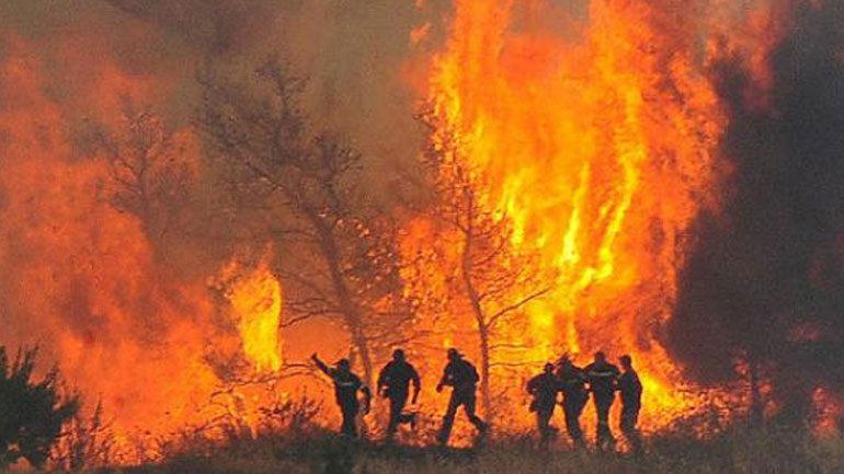 Ολονύχτια μάχη με τις φλόγες στη Λευκίμη Σουφλίου