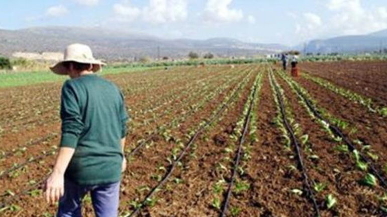 Παράταση για τις φορολογικές δηλώσεις των αγροτών