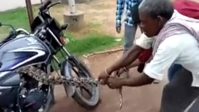 Απίστευτη μάχη μοτοσικλετιστή με πύθωνα που κρύφτηκε στη μηχανή του