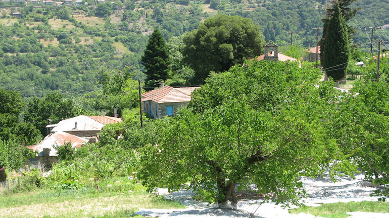 «Αδέσποτες σφαίρες» έπεσαν από τον ουρανό και τραυμάτισαν οικογένεια «Αδέσποτες σφαίρες» έπεσαν από τον ουρανό και τραυμάτισαν οικογένεια