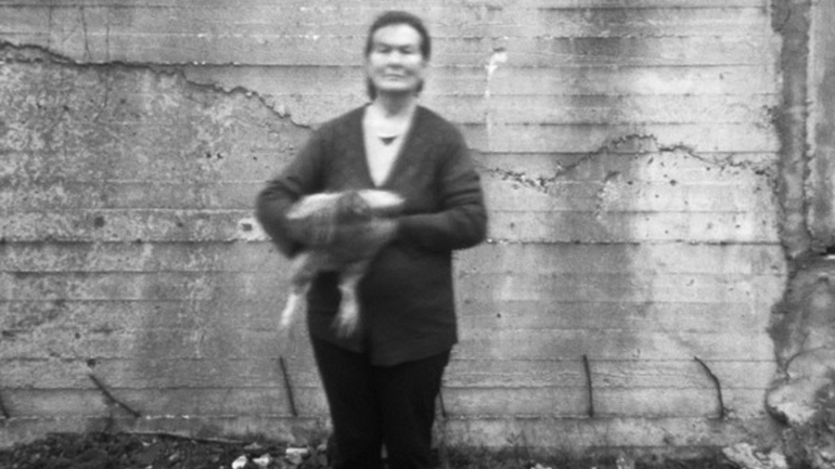 Φεστιβάλ Βωβούσας 2017 Φεστιβάλ Βωβούσας 2017