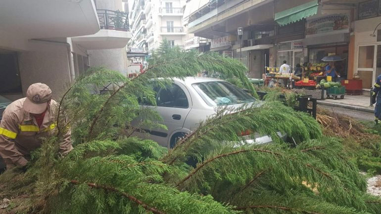 Κακοκαιρία στη Λάρισα: Δένδρο έπεσε πάνω σε αυτοκίνητα