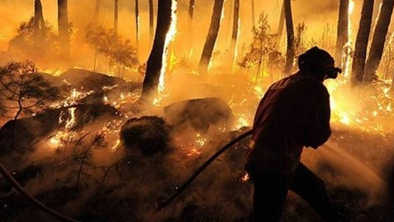 Νέες δασικές πυρκαγιές μαίνονται στο βόρειο και στο κεντρικό τμήμα της Πορτογαλίας