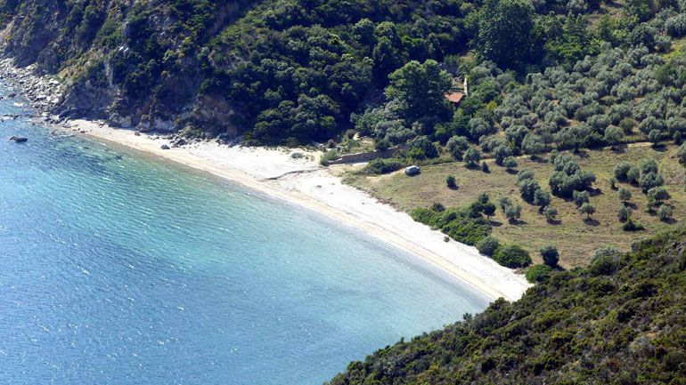 Focus: Επτά λόγοι για να επισκεφθεί κάποιος τη Χαλκιδική