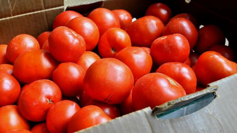 Δέσμευση φορτίου 2,6 τόνων οπωροκηπευτικών στον Πειραιά