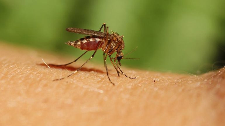 Περιστατικό λοίμωξης από τον ιό του Δυτικού Νείλου στην Αργολίδα