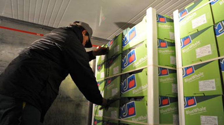 Δέσμευση φορτίου 9 τόνων φρούτων στον Πειραιά