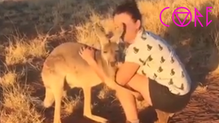 Το καγκουρό θέλει αγκαλιές