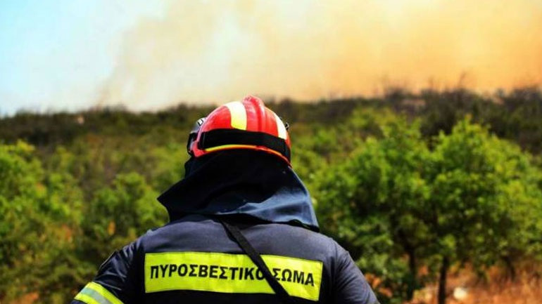 Υπό πλήρη έλεγχο τέθηκε η πυρκαγιά στον Ξερόκαμπο Σητείας
