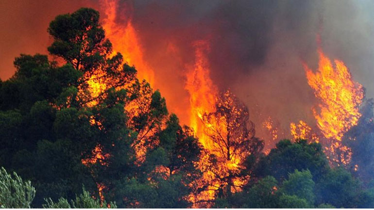 Η Πυροσβεστική απέτρεψε την επέκταση της φωτιάς μέσα στο Νεοχωρόπουλο Ιωαννίνων