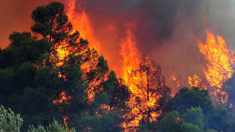 Σε εξέλιξη οι προσπάθειες των πυροσβεστών να θέσουν υπό έλεγχο την φωτιά στην Μονεμβασιά