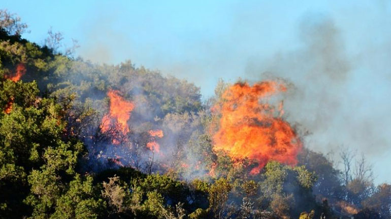Πυρκαγιά σε αγροτοδασική έκταση στη Μεσσηνία