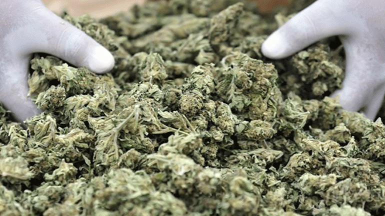 Χειροπέδες σε νεαρό που είχε στην κατοχή του 8 κιλά ακατέργαστη κάνναβη