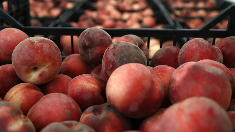 Δεσμεύτηκαν 1.885 κιλά οπωροκηπευτικά στον Πειραιά