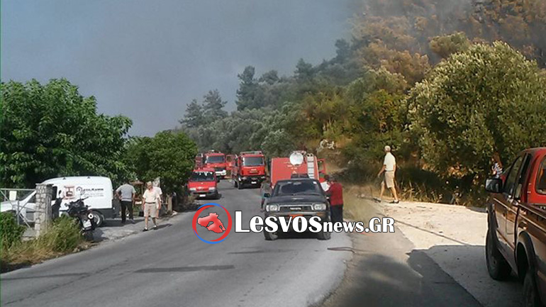 Πυρκαγιά σε εξέλιξη στην περιοχή Καραβά της Λέσβου