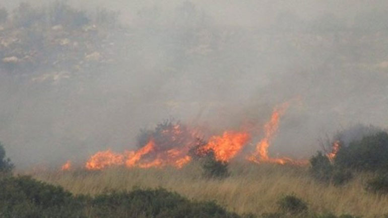 Πύρινο μέτωπο ξανά στην… Ιεράπετρα